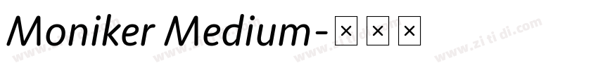 Moniker Medium字体转换